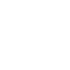 MV BJJ Academy logo