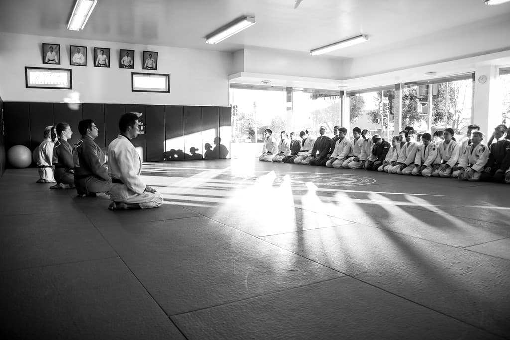 Nakano Judo Academy logo