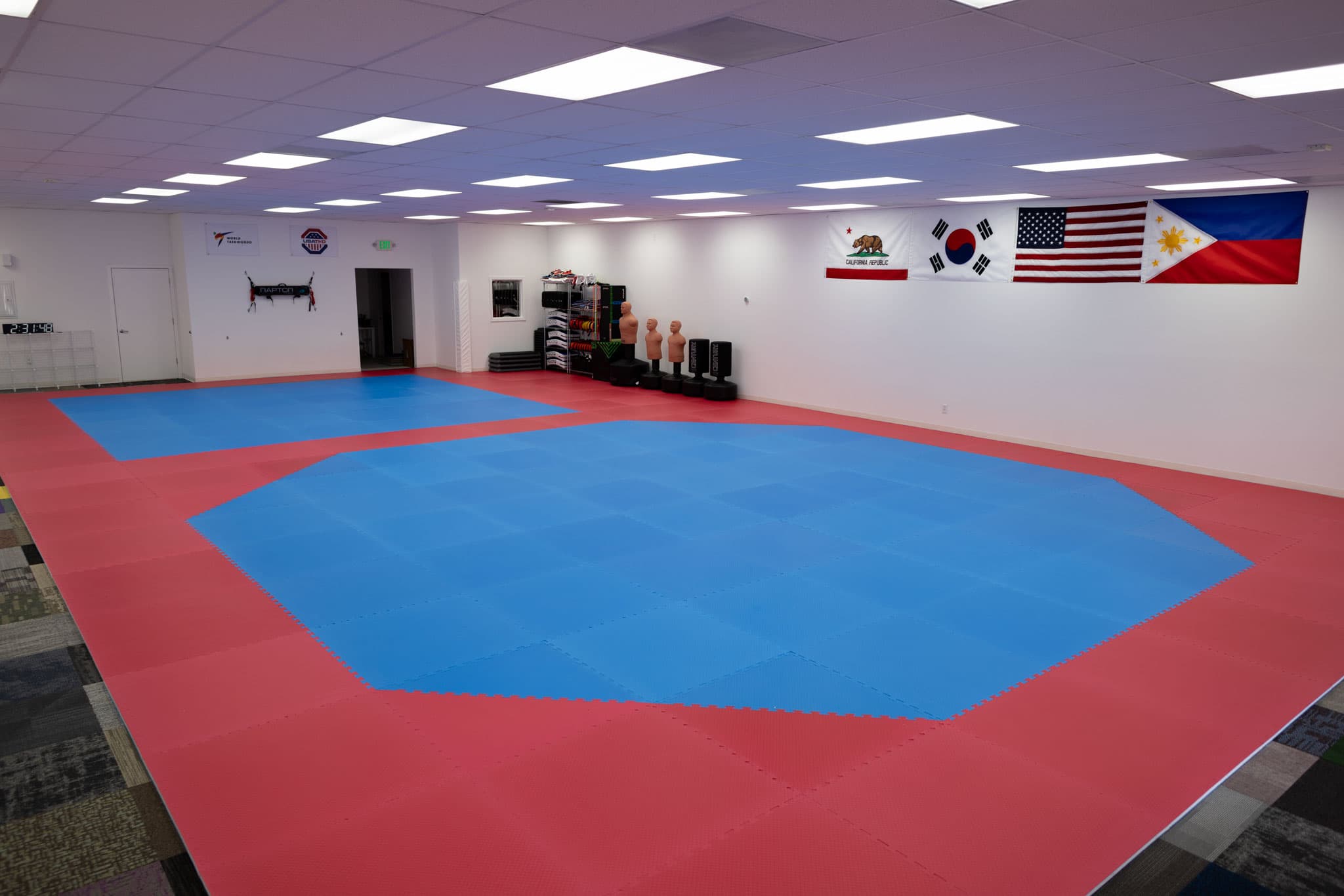 Main image of New Game Taekwondo