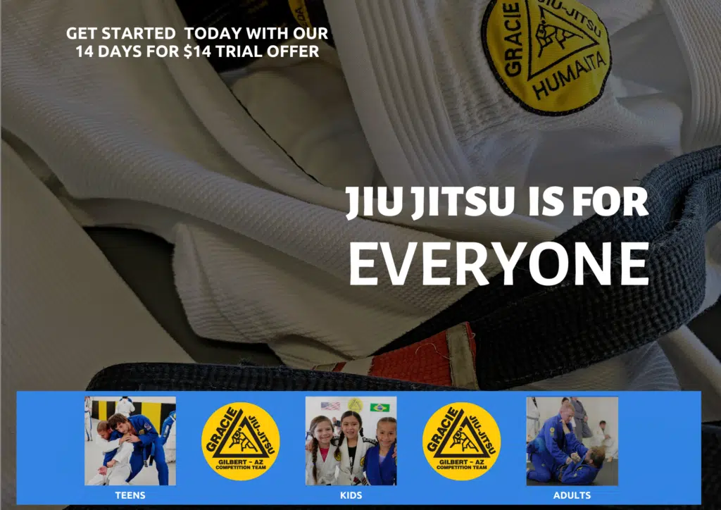 Main image of Next Level Krav Maga Gilbert, Kickboxing, Taekwondo, Kids Karate, Brazilian Jiu-Jitsu, Self Defense