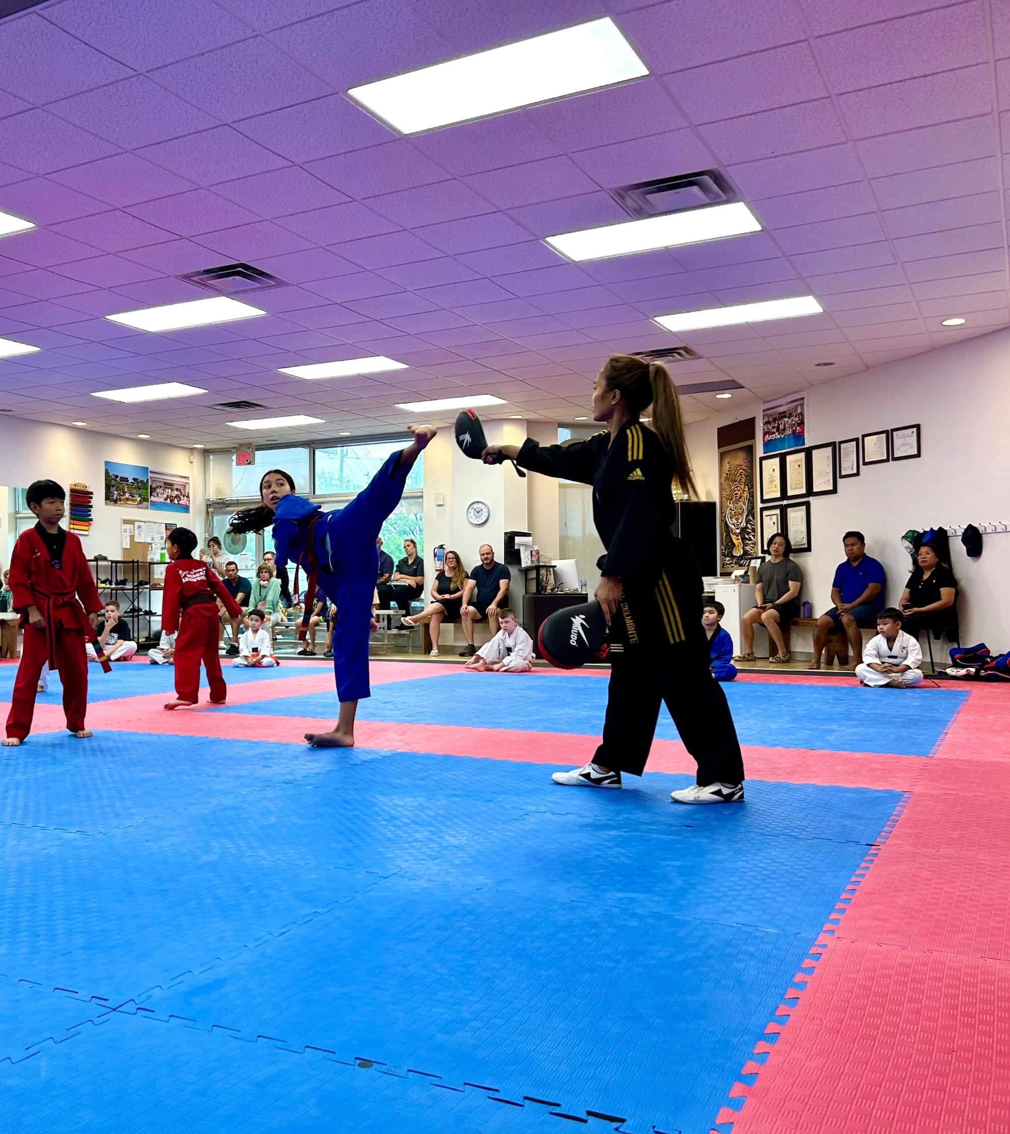 Main image of Niagara Taekwondo St. Catharines