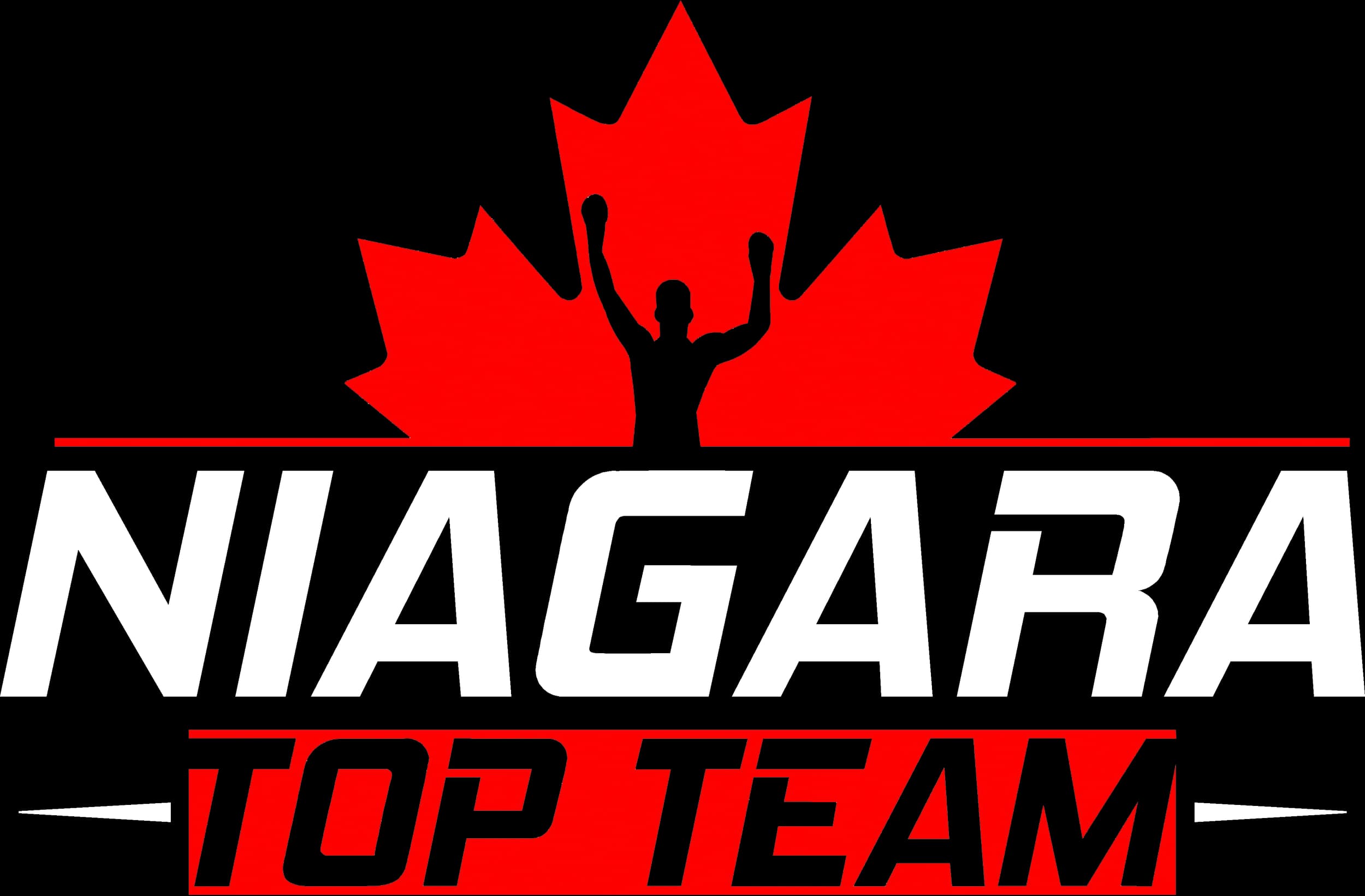 Niagara Top Team logo