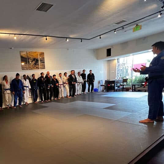 Main image of North Coast Jiu Jitsu