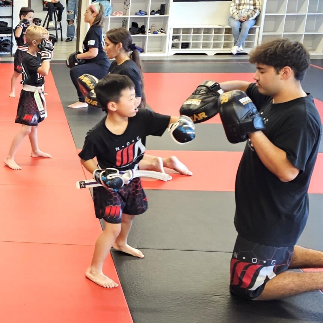 Main image of North Orange County Martial Arts