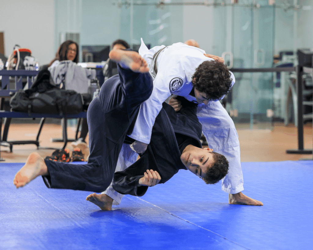 Main image of North South Jiu Jitsu
