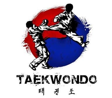 Official Pride Martial Arts logo