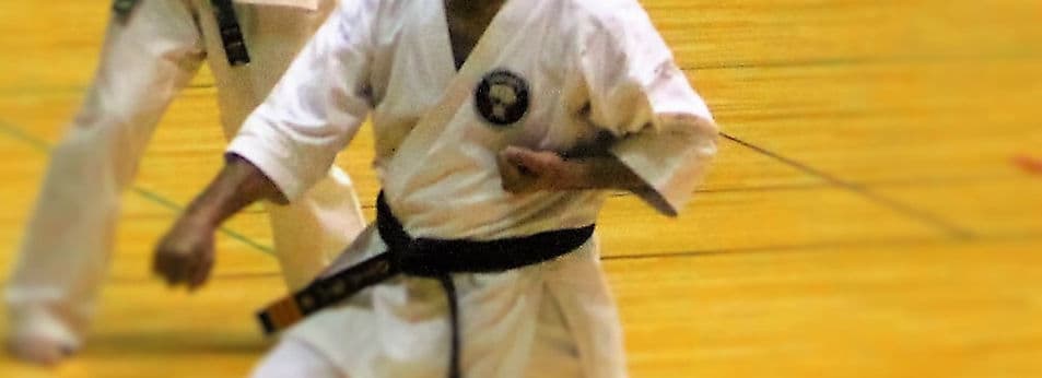 Main image of Okinawa Karate Shōrin-Ryū