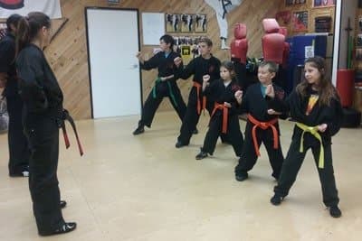 Main image of Old School Kenpo Karate