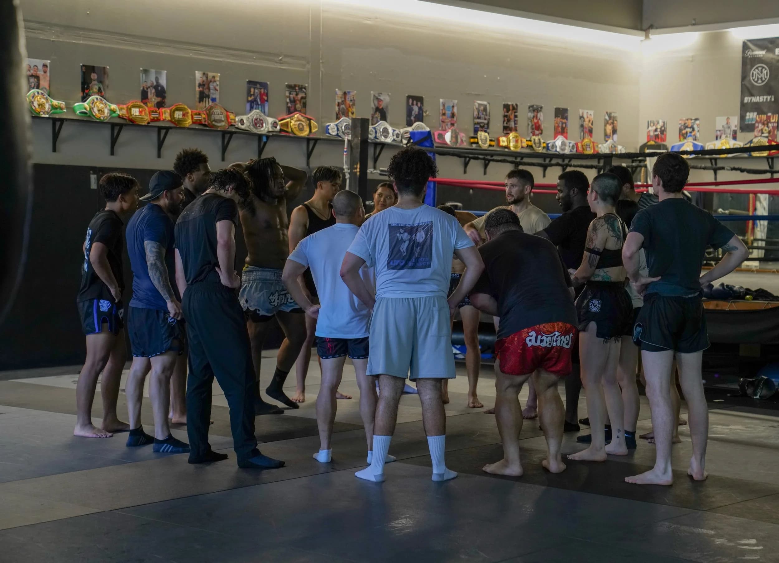 Main image of OMNIMOVEMENT