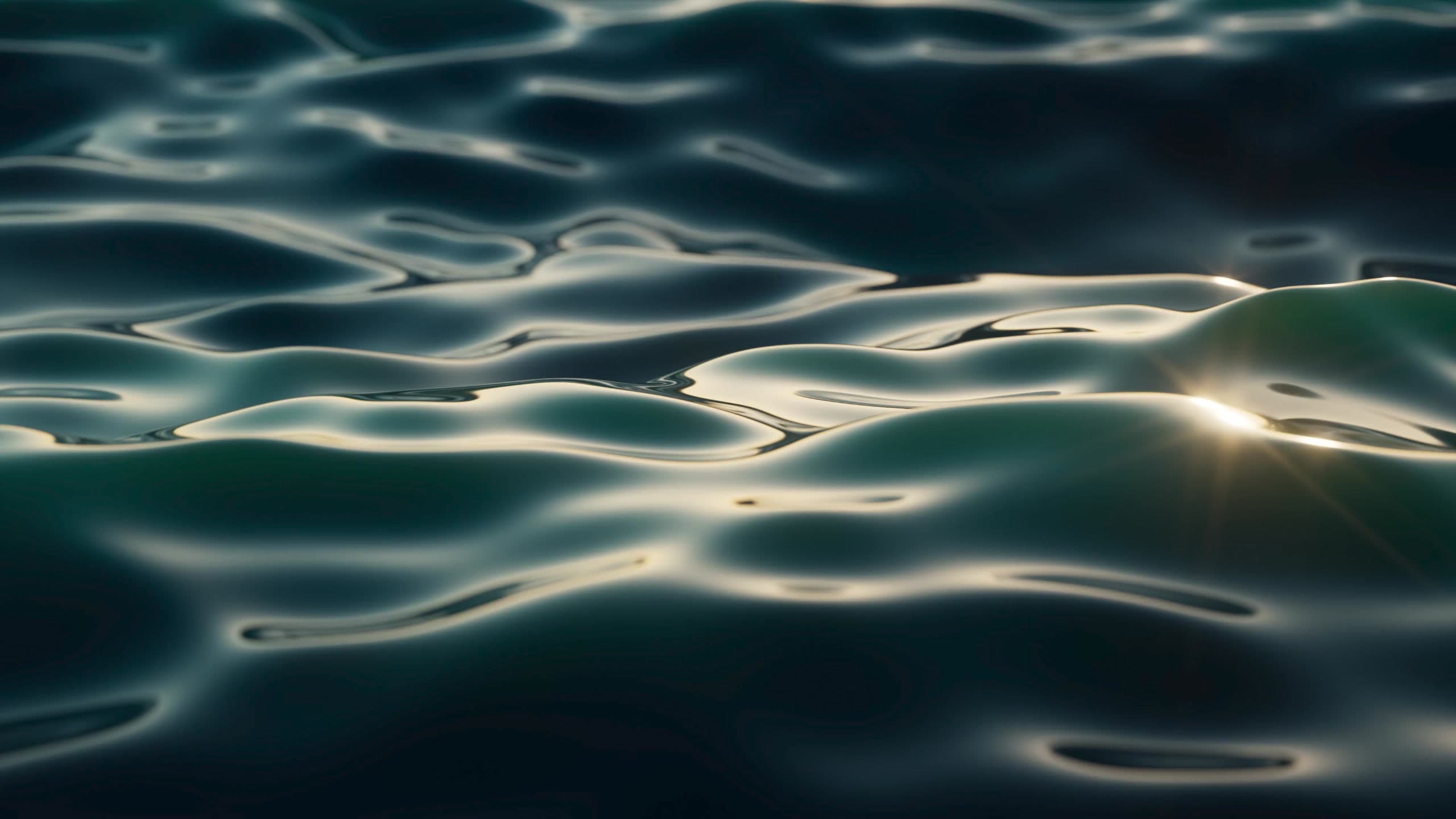 Orange County TaeKwonDo logo
