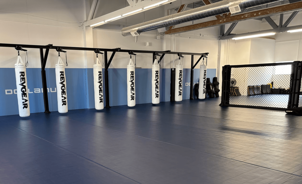 PACIFIC COMBAT ARTS ACADEMY logo