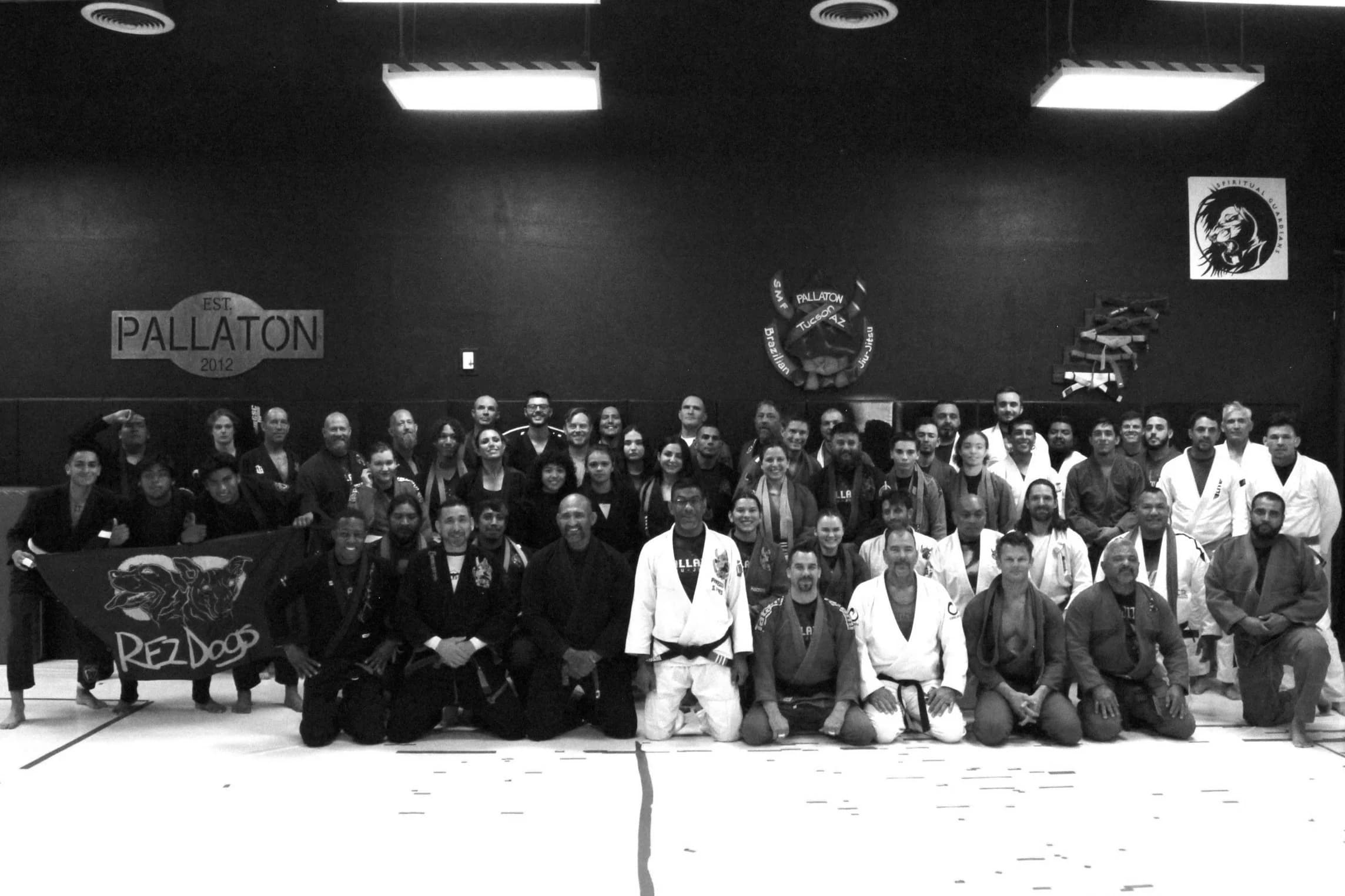 Main image of Pallaton Brazilian Jiu-Jitsu