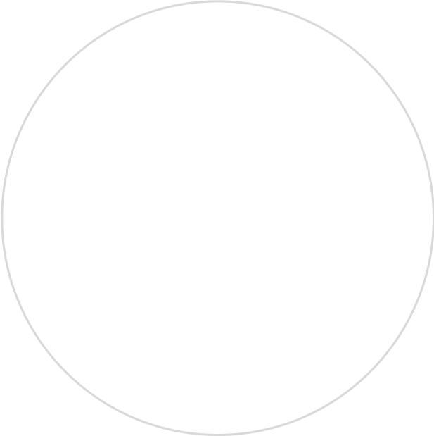 Pallaton Brazilian Jiu-Jitsu logo