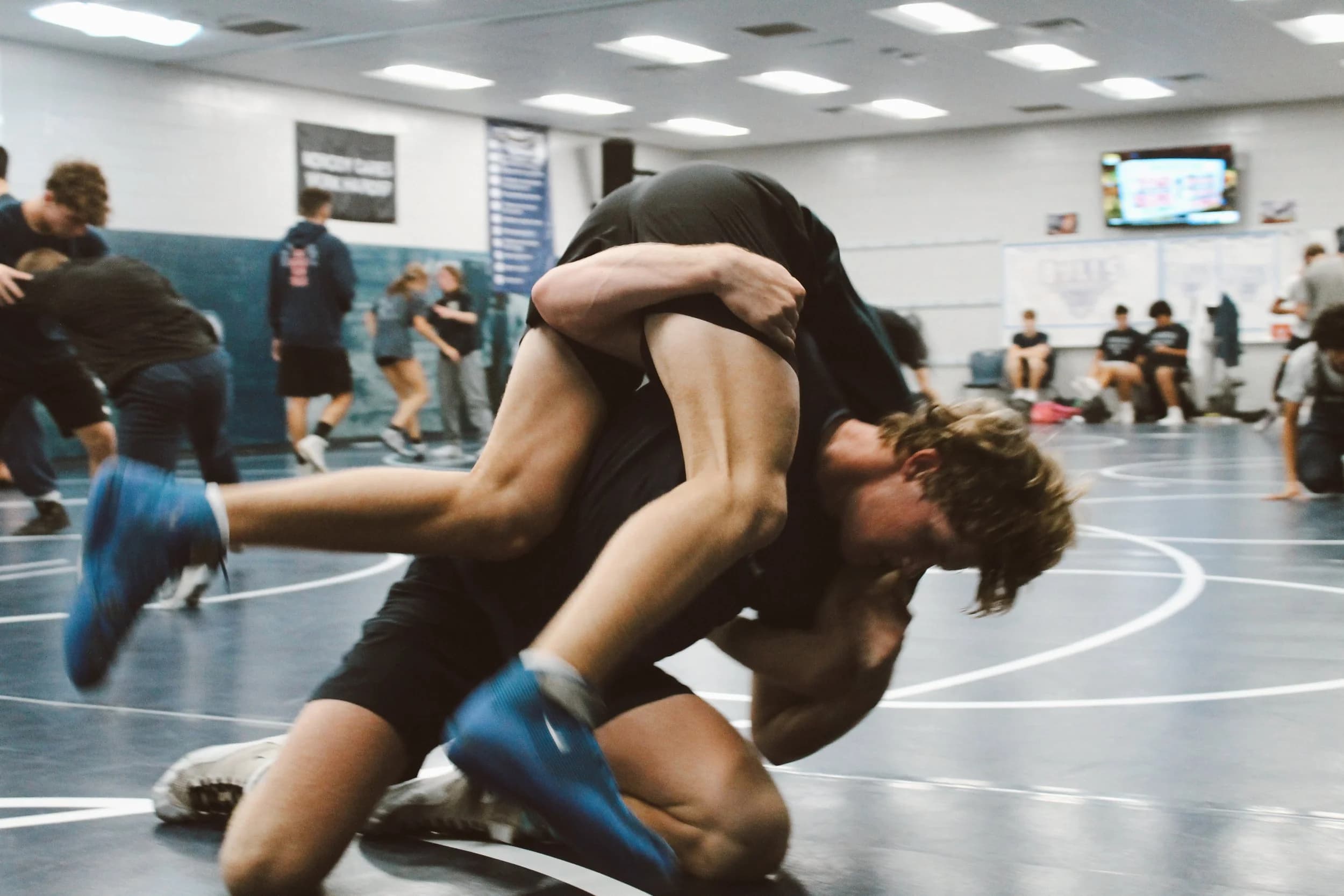 Panther Legacy Wrestling Club logo