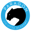Main image of Paragon Jiu-Jitsu Academy Austin