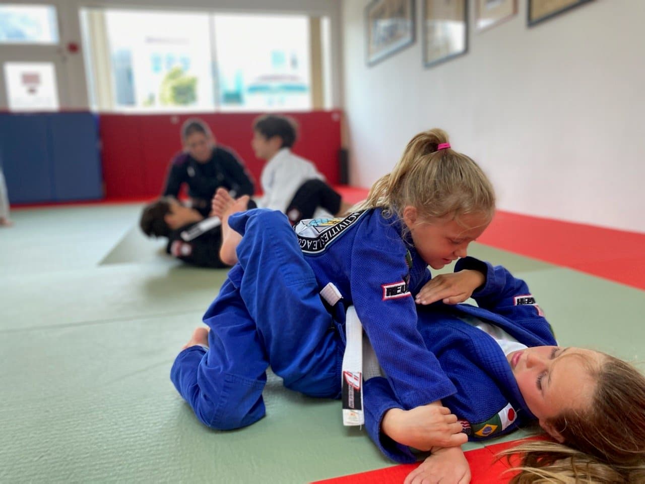 Main image of Parkside Jiujitsu