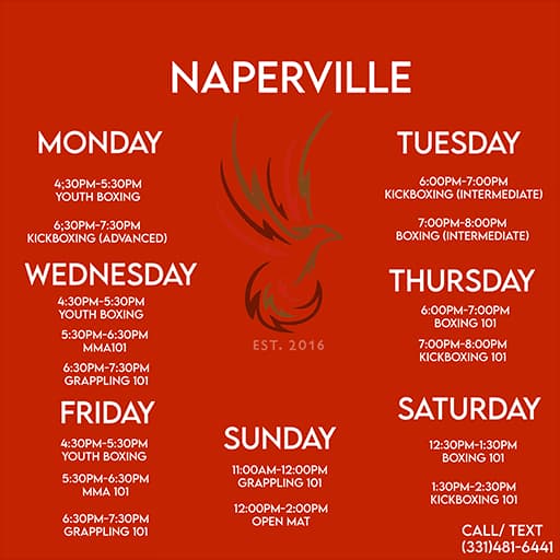 Main image of Phoenix Sports Empire Lisle