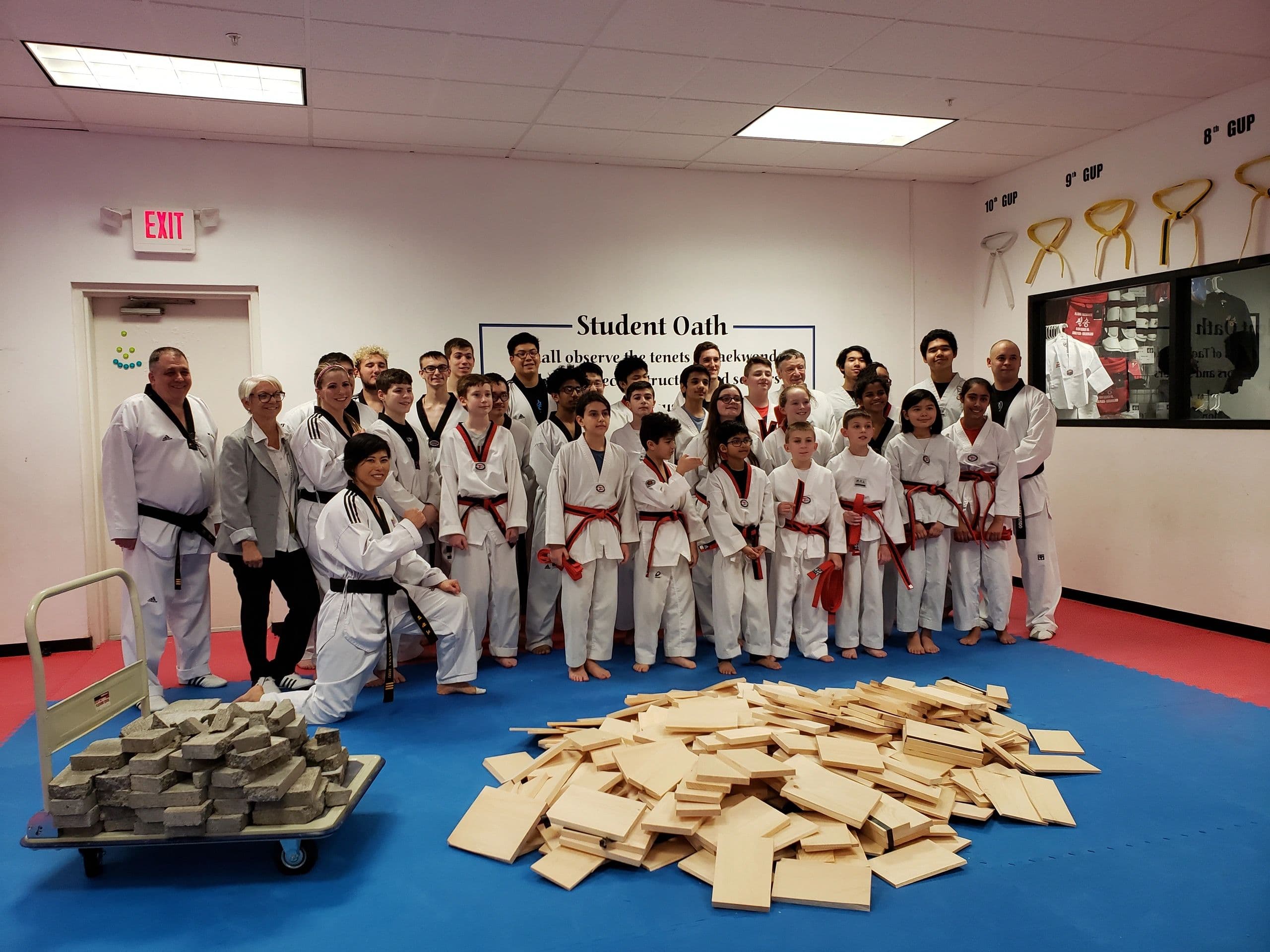 Pil Sung Taekwondo Karner Plaza logo