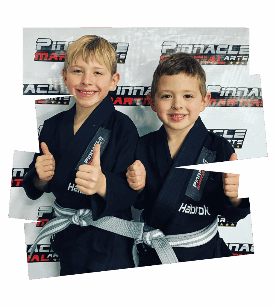 Main image of Pinnacle Martial Arts Brazilian Jiu Jitsu & MMA San Antonio