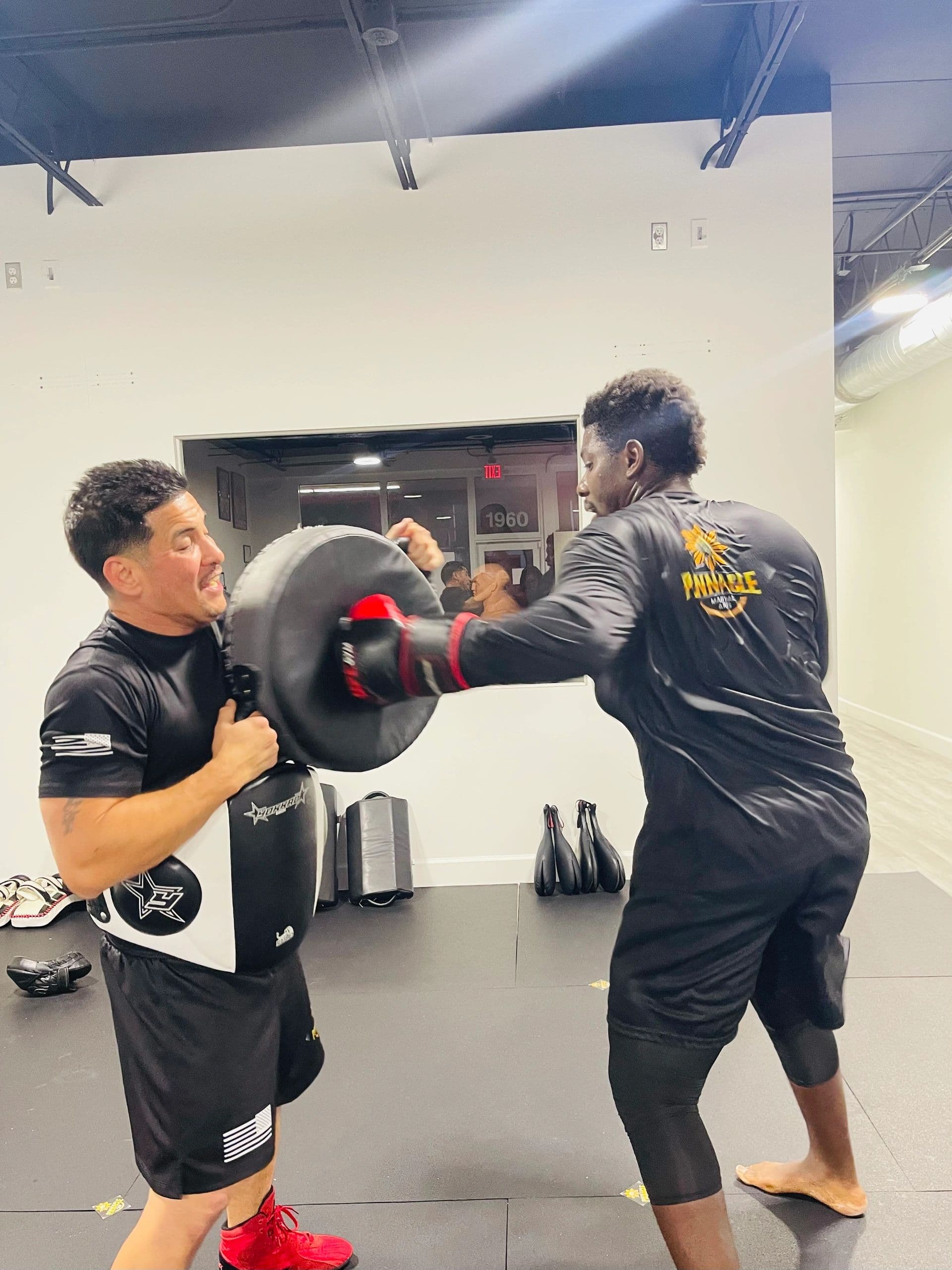 Main image of Pinnacle Martial Arts