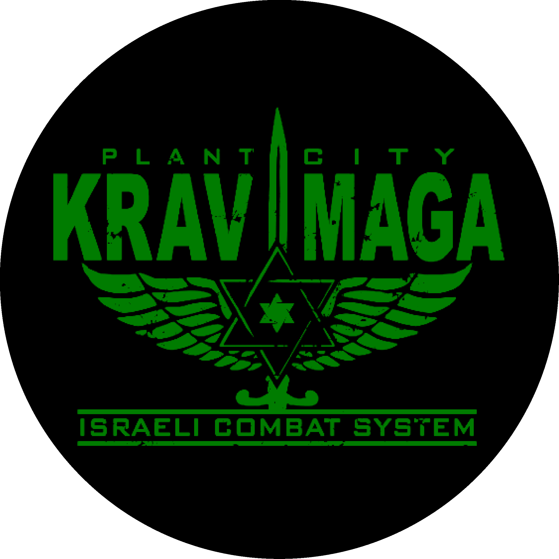Main image of Plant City Krav Maga