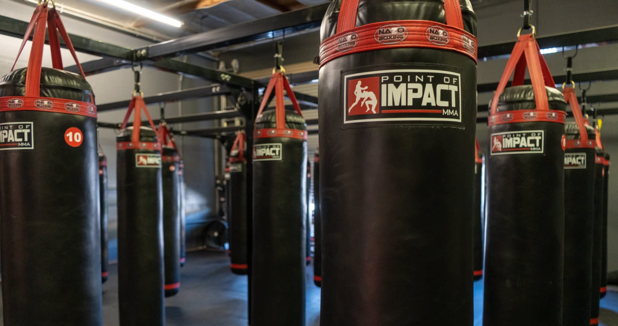 Main image of Point of Impact MMA