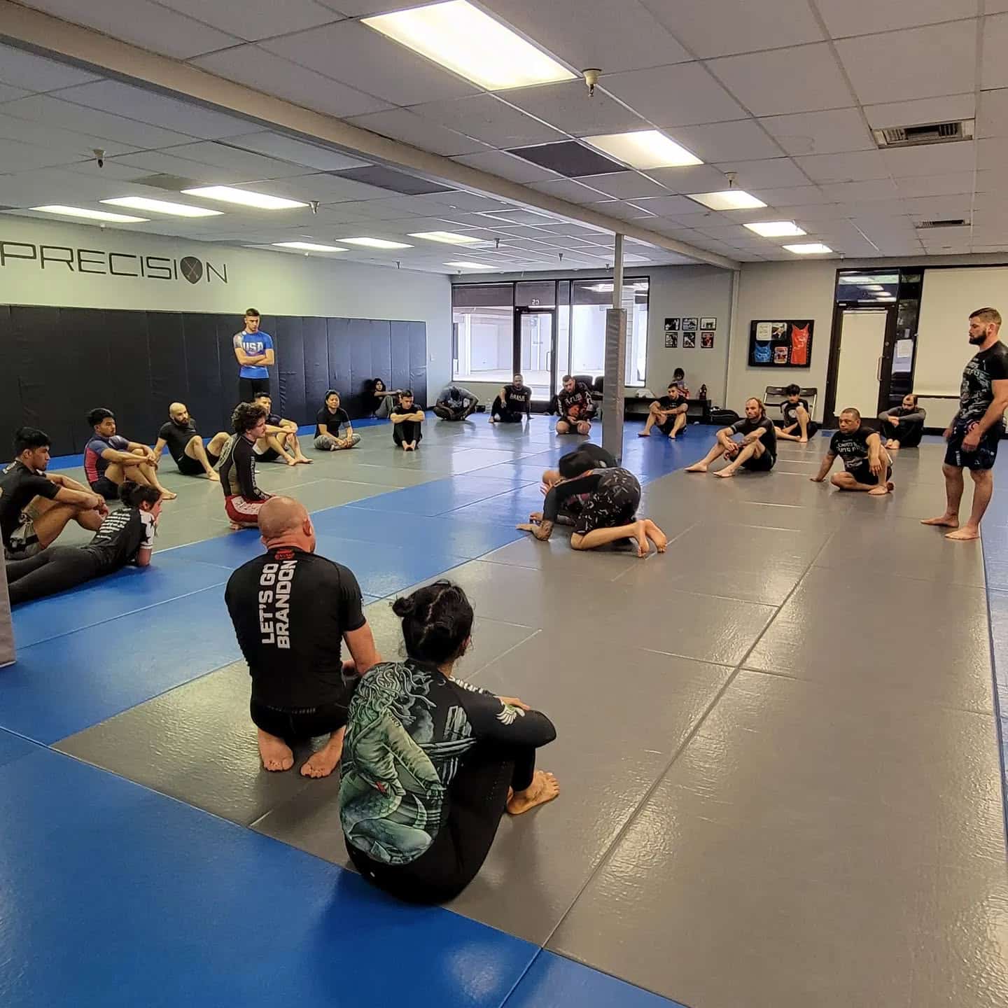 Precision Jiu Jitsu Academy logo