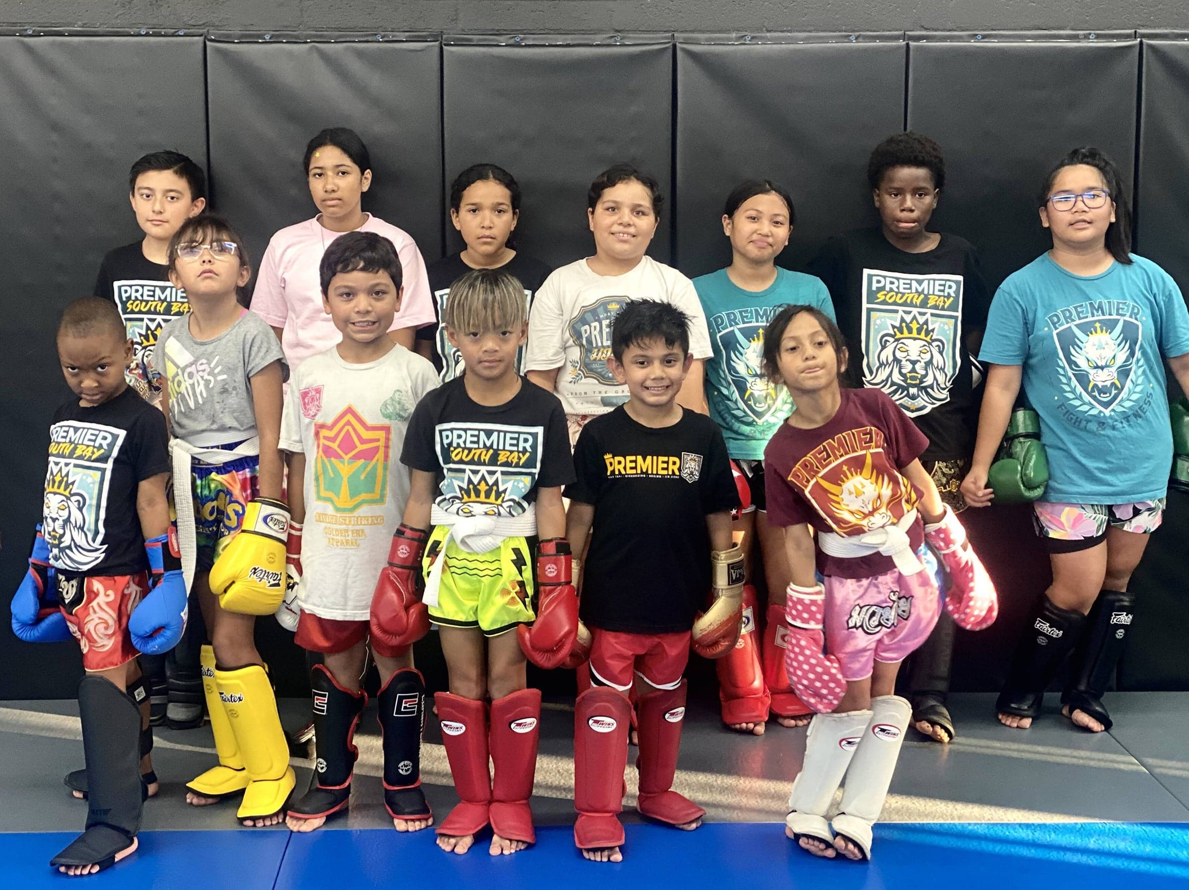 Main image of Premier Fight and Fitness South Bay
