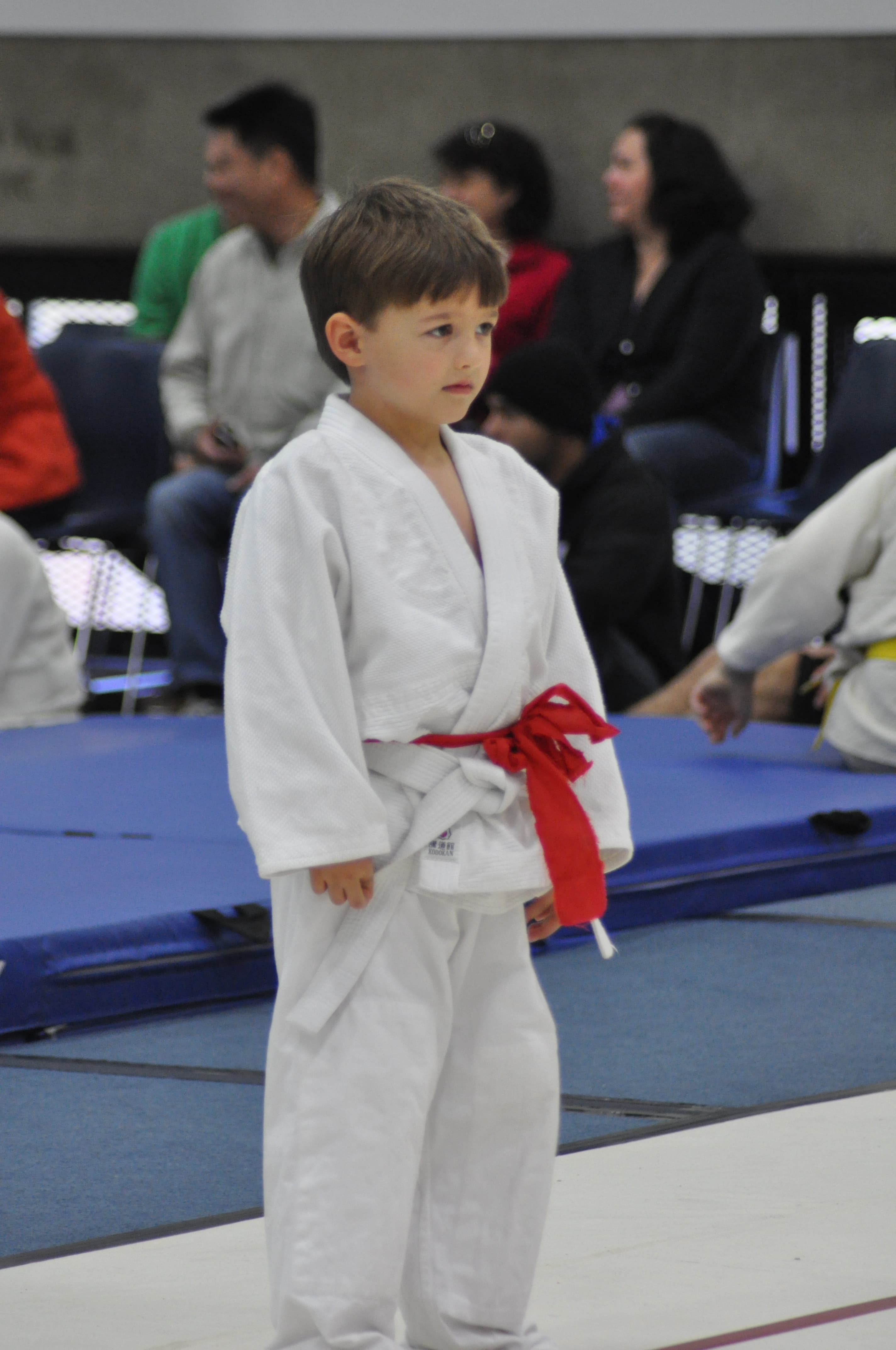 Princeton Judo logo