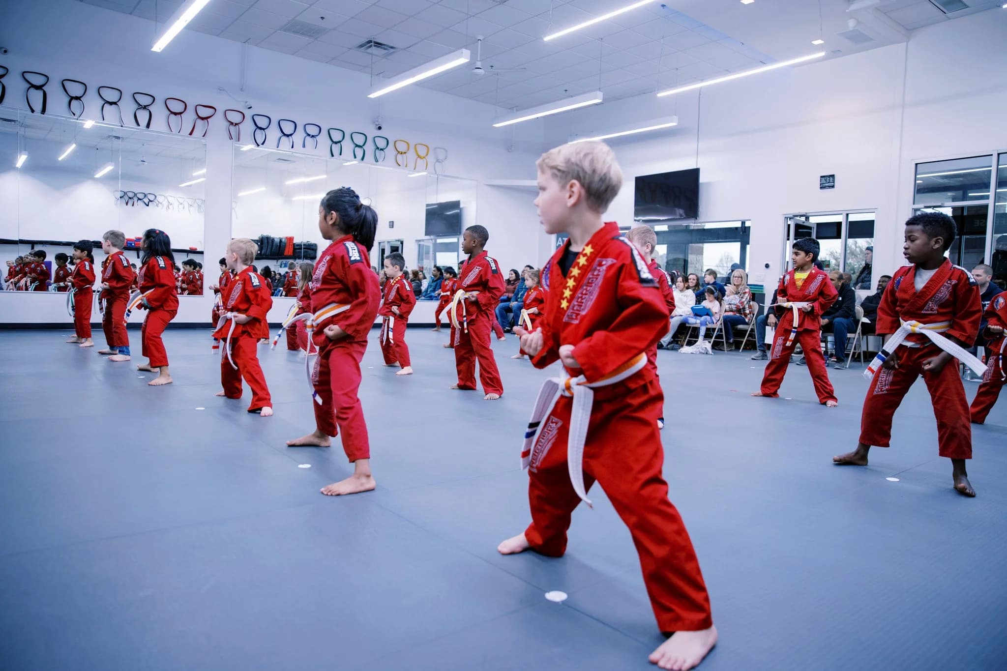 Main image of Professional Black Belt Academy Little Elm / West Frisco
