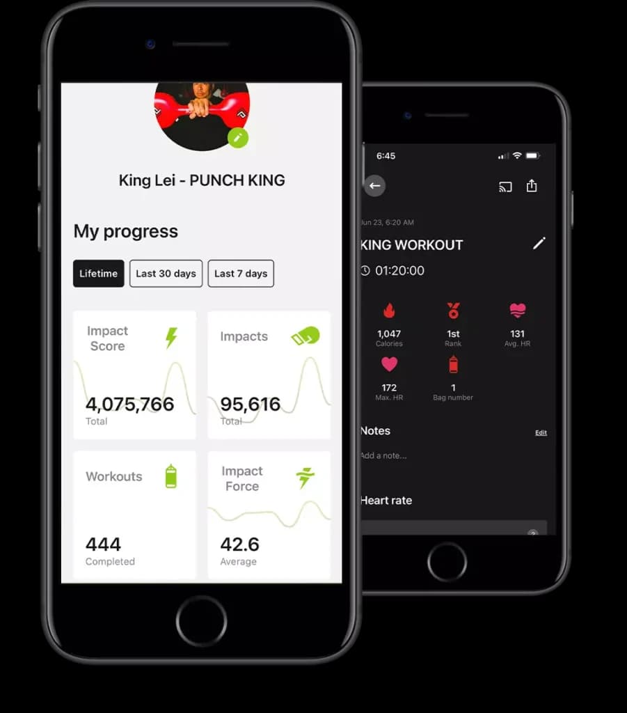 Main image of Punch King Fitness Sunset