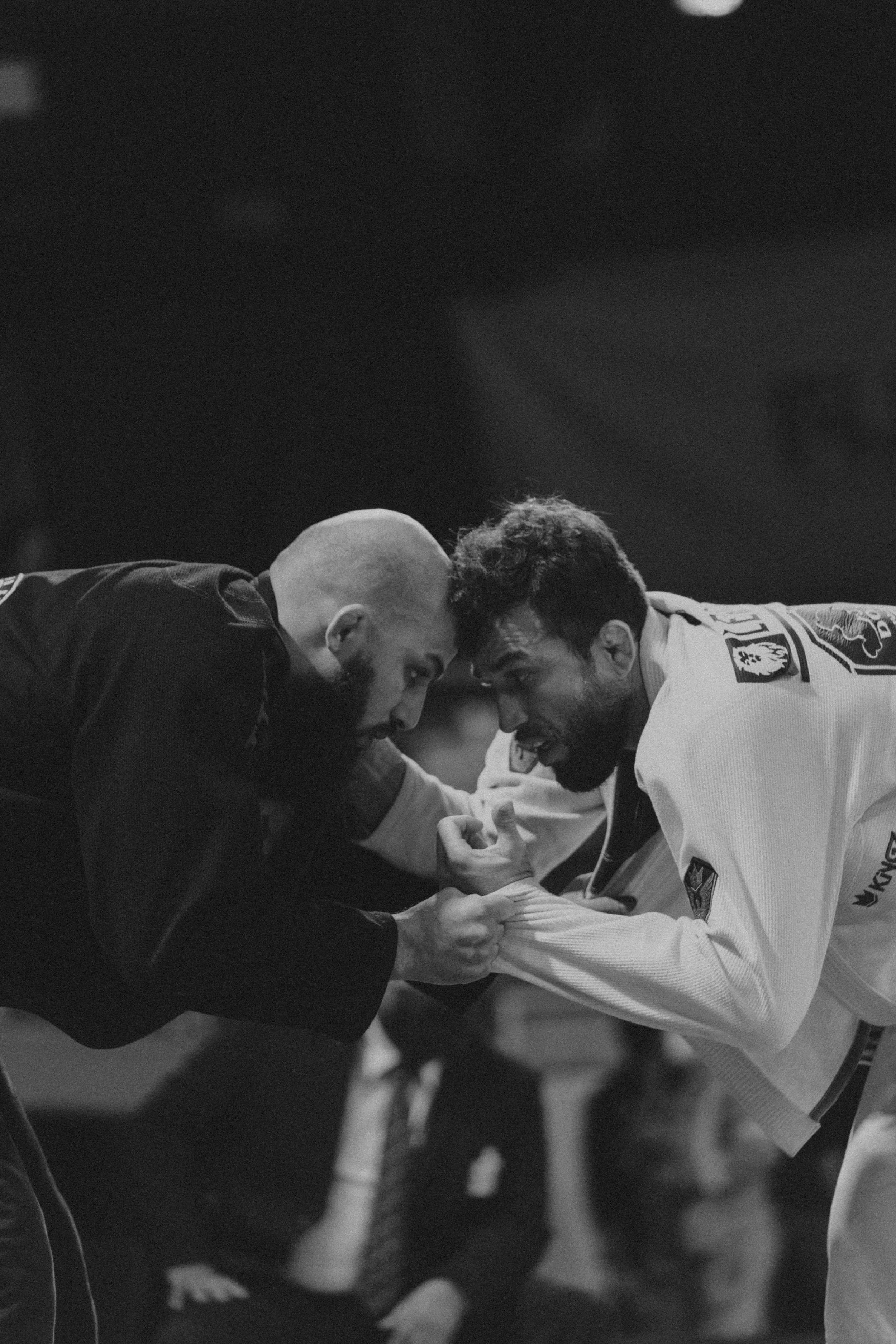 Rasai Jiu Jitsu logo