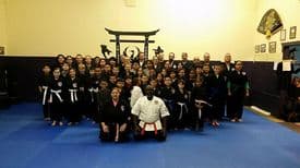 Rayford Shorin-Ryu Karate logo
