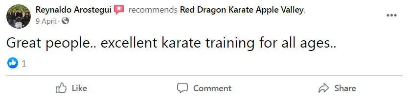 Main image of Red Dragon Karate