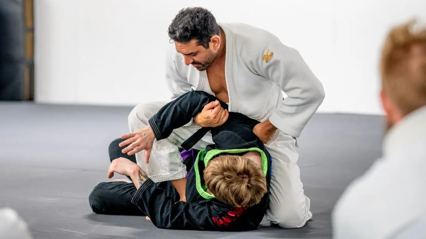 Main image of Revolution Dojo Houston