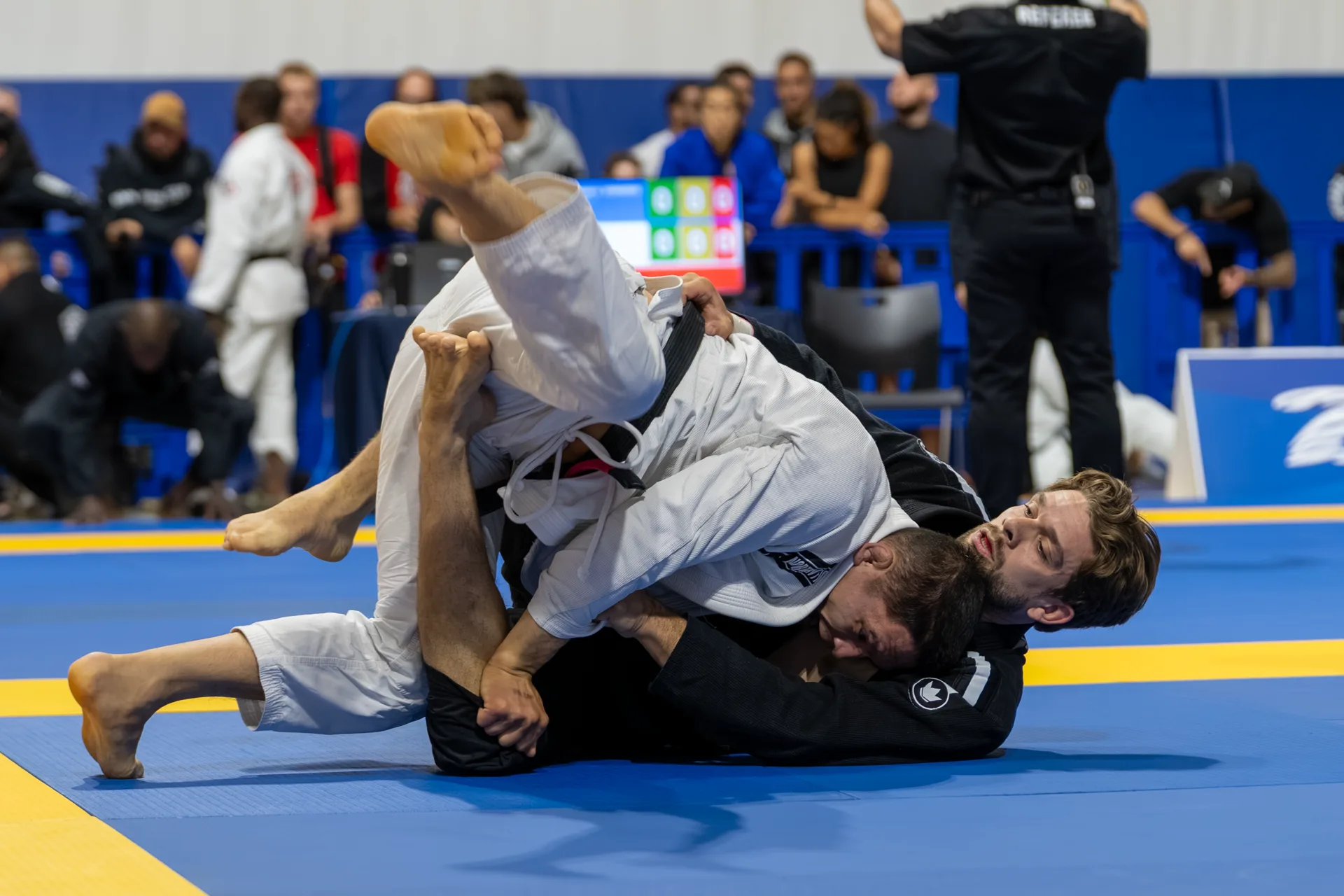 Richmond Hill Jiu-Jitsu Academy logo