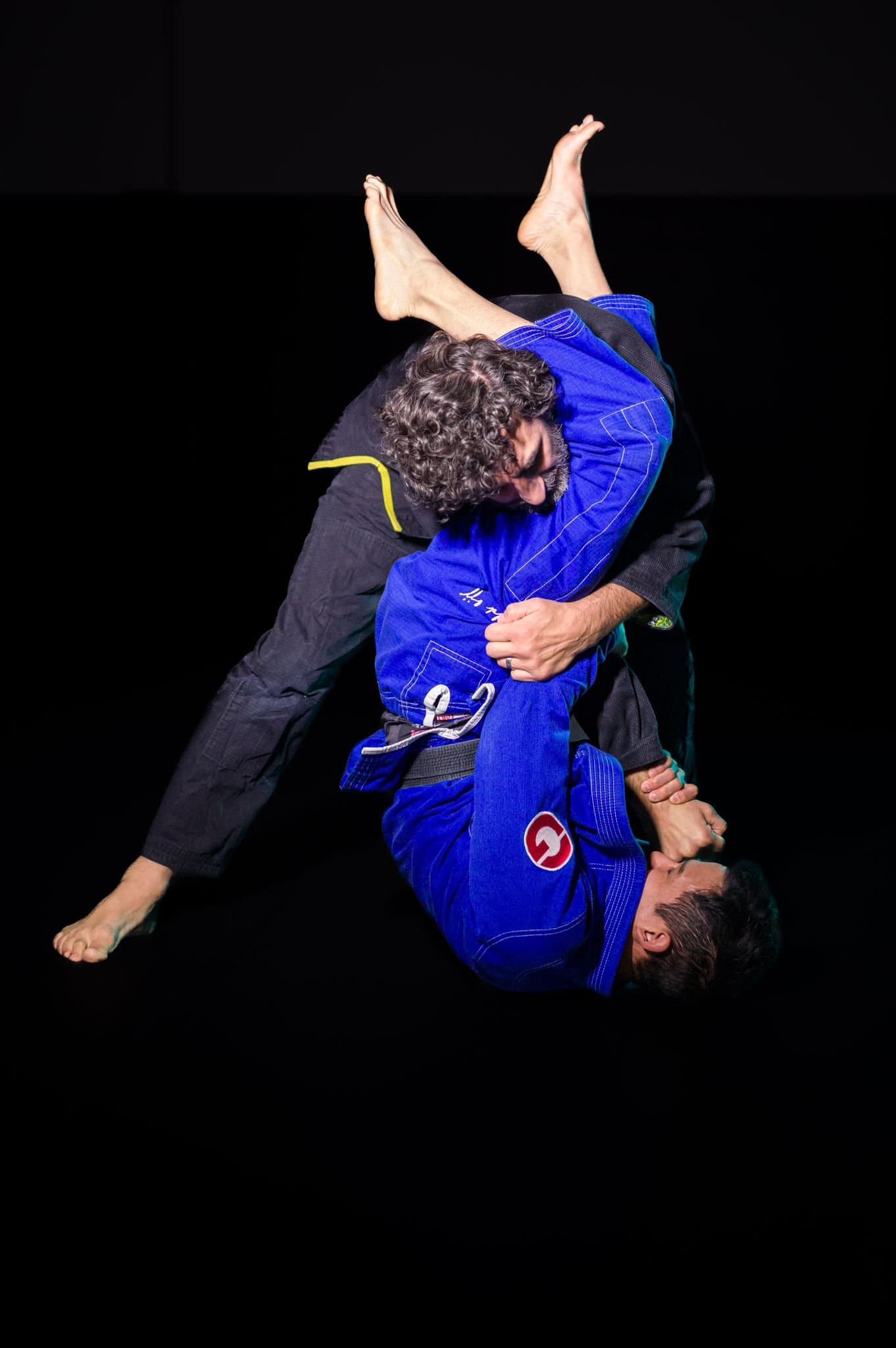 Rogue Jiu-Jitsu logo