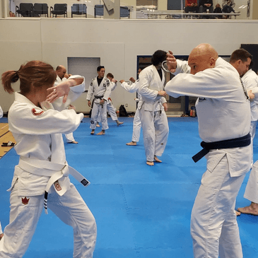 Royce Gracie Academy Surrey logo