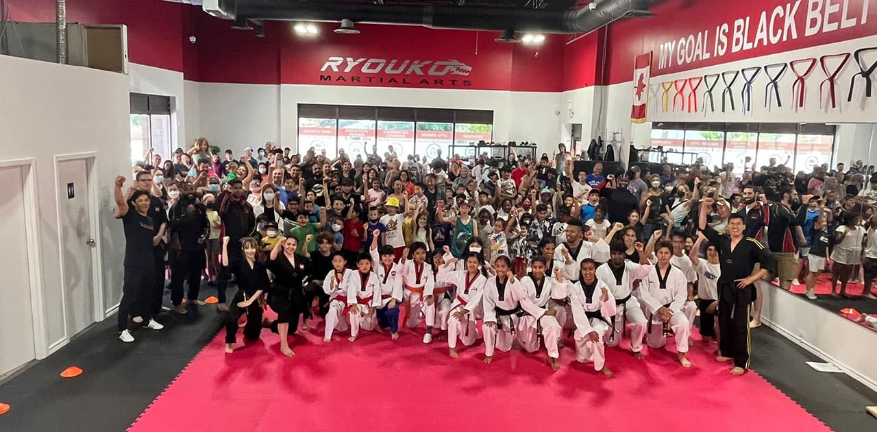 Main image of Ryouko Martial Arts Durham