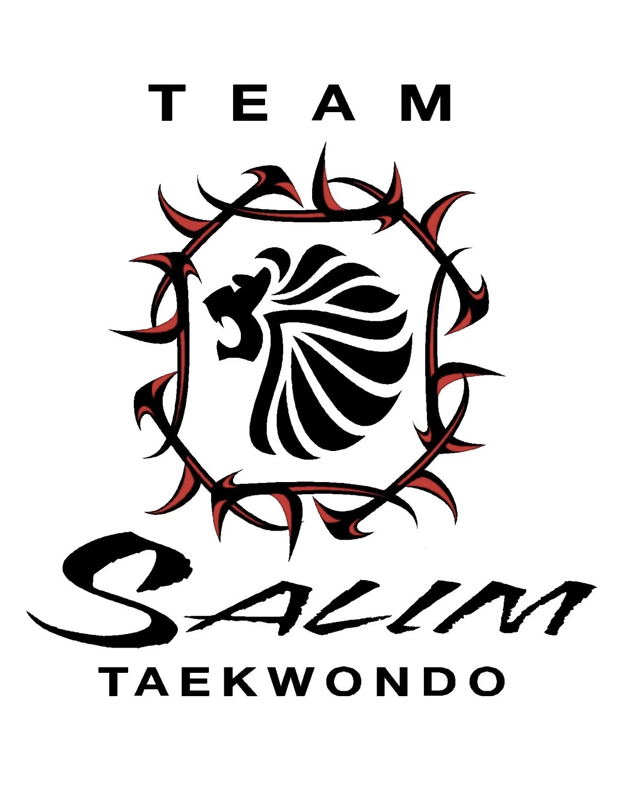Salim's Taekwondo Center II, Inc. logo