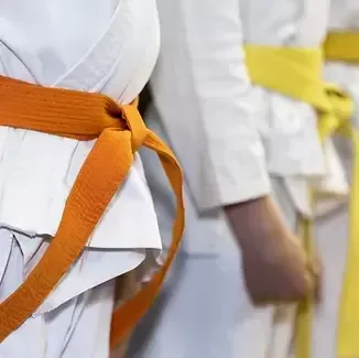 Samurai Academy logo