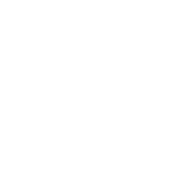 San Diego Brazilian Jiu-Jitsu & Mixed Martial Arts logo
