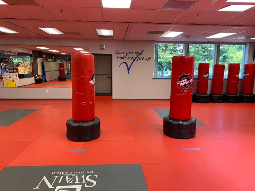 Main image of Santa Teresa Martial Arts
