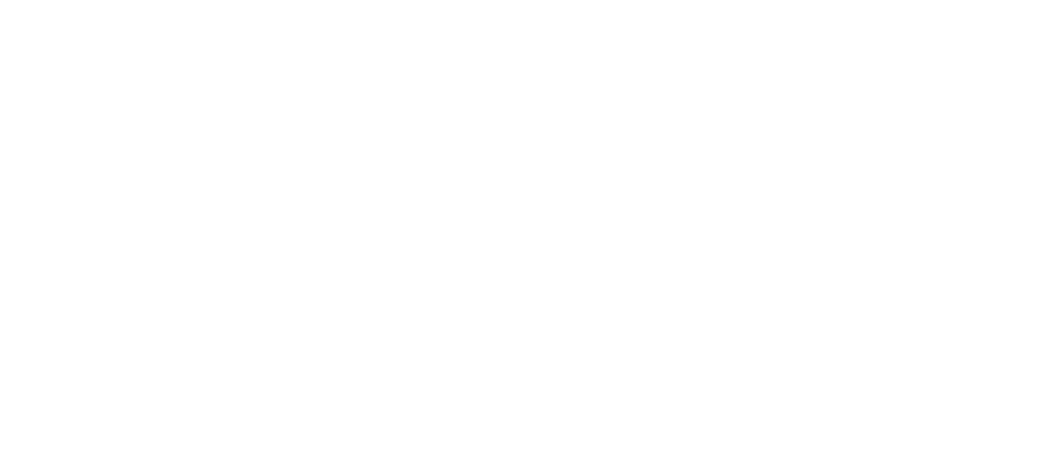 Satori MMA logo