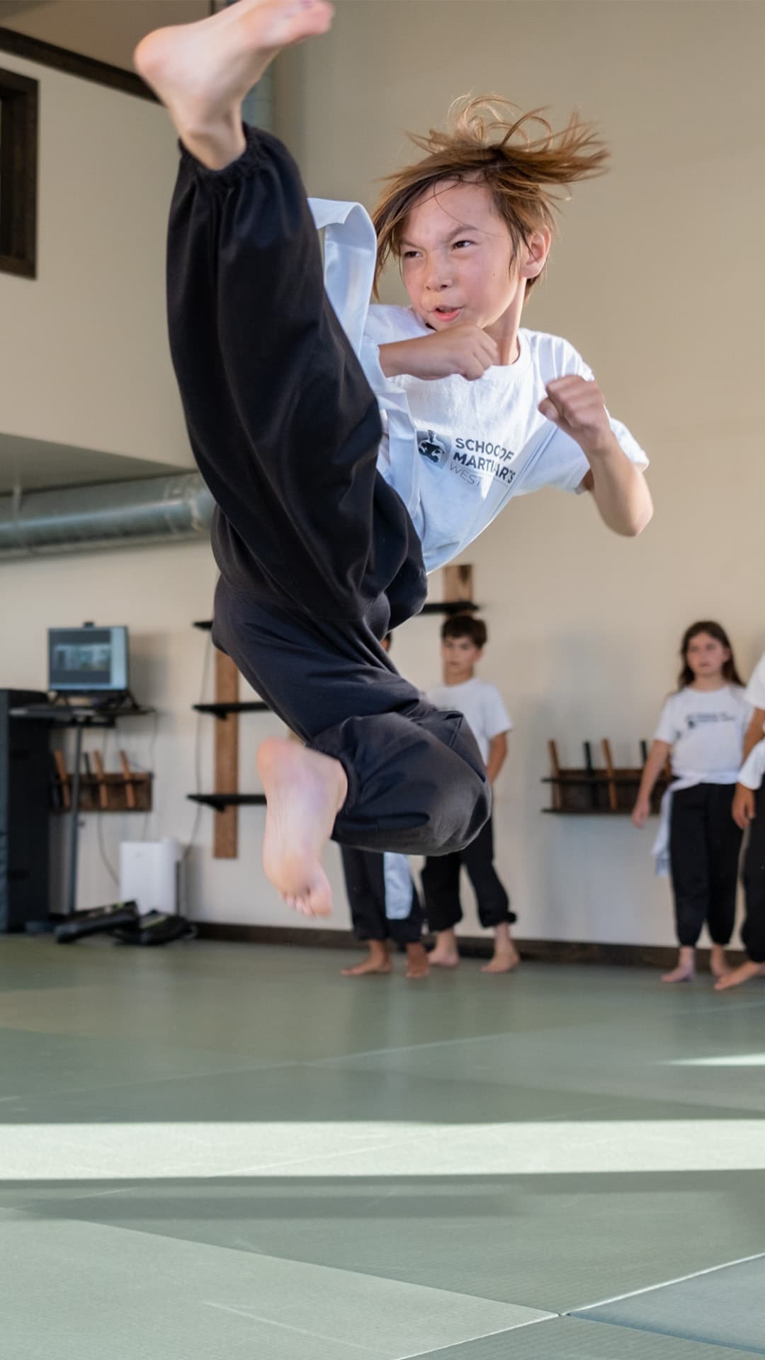 Main image of School of Martial Arts-West LA