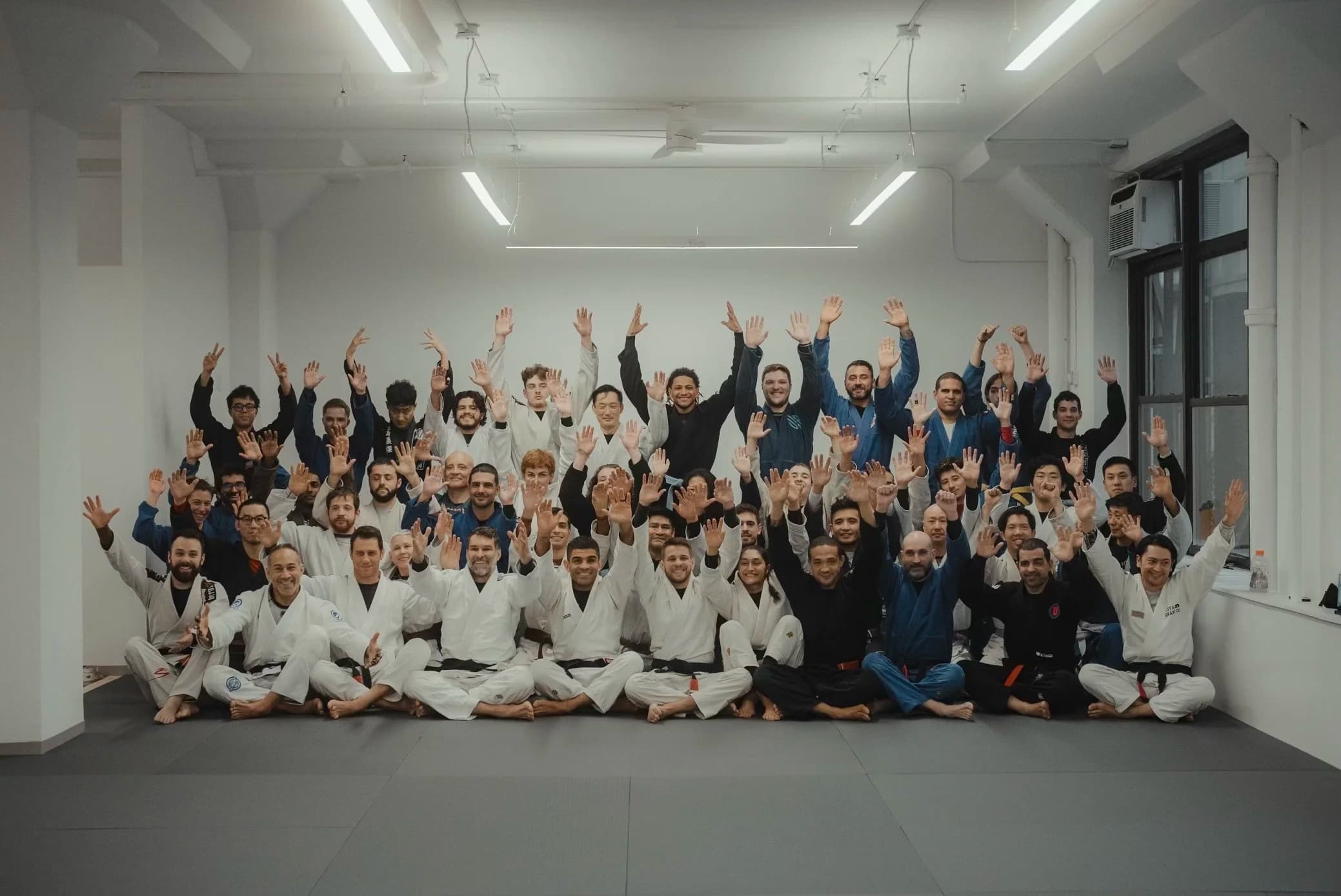 SD Brazilian Jiu-Jitsu NYC logo