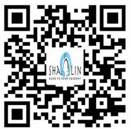 Shaolin Kung Fu Chan Academy logo