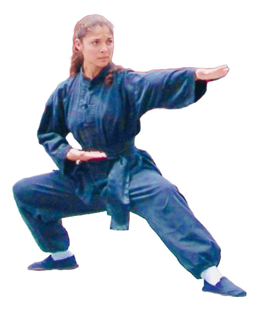 Shaolin Wu-Yi Institute logo