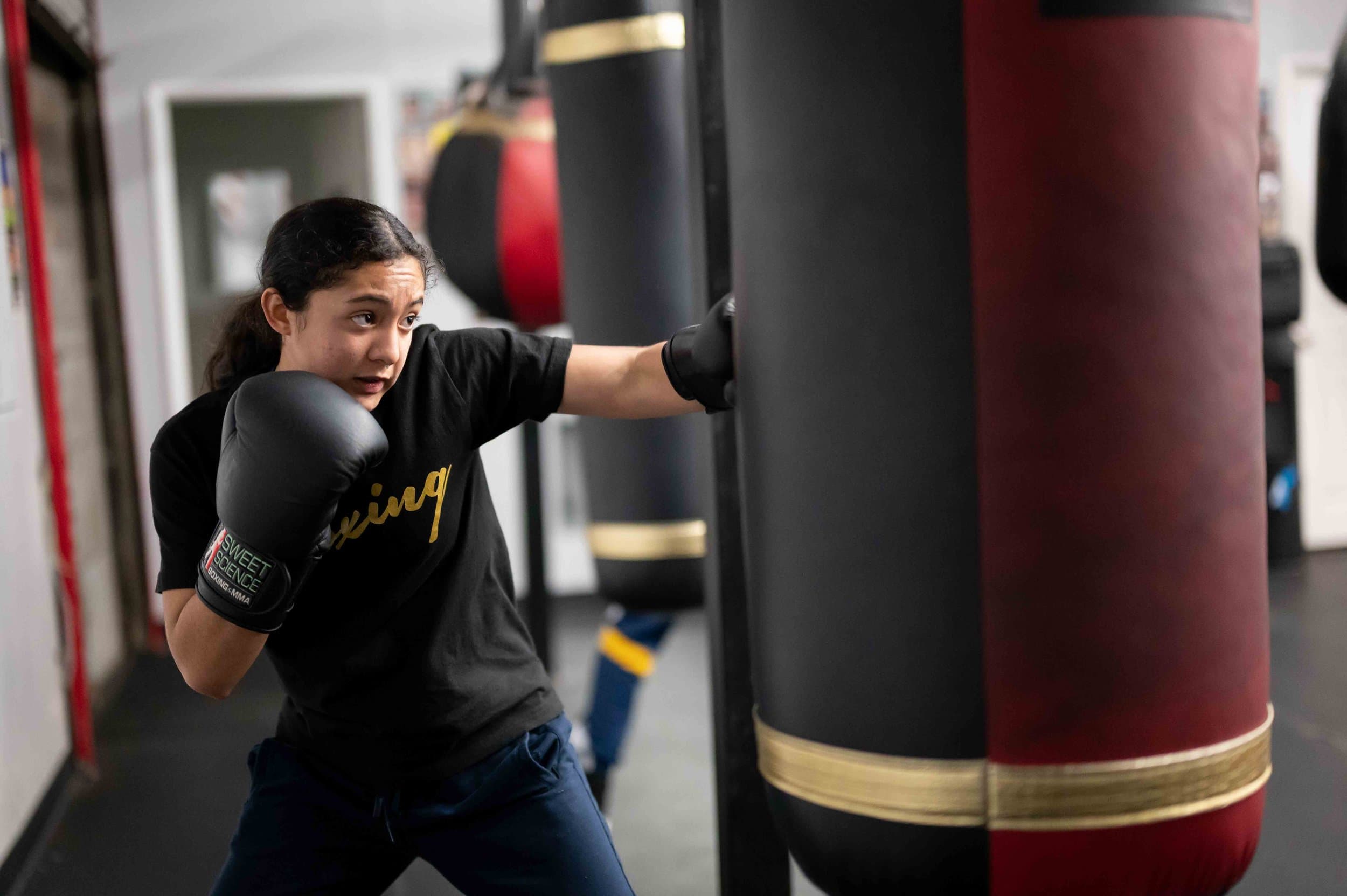 Main image of Shark Sports Boxing Gym