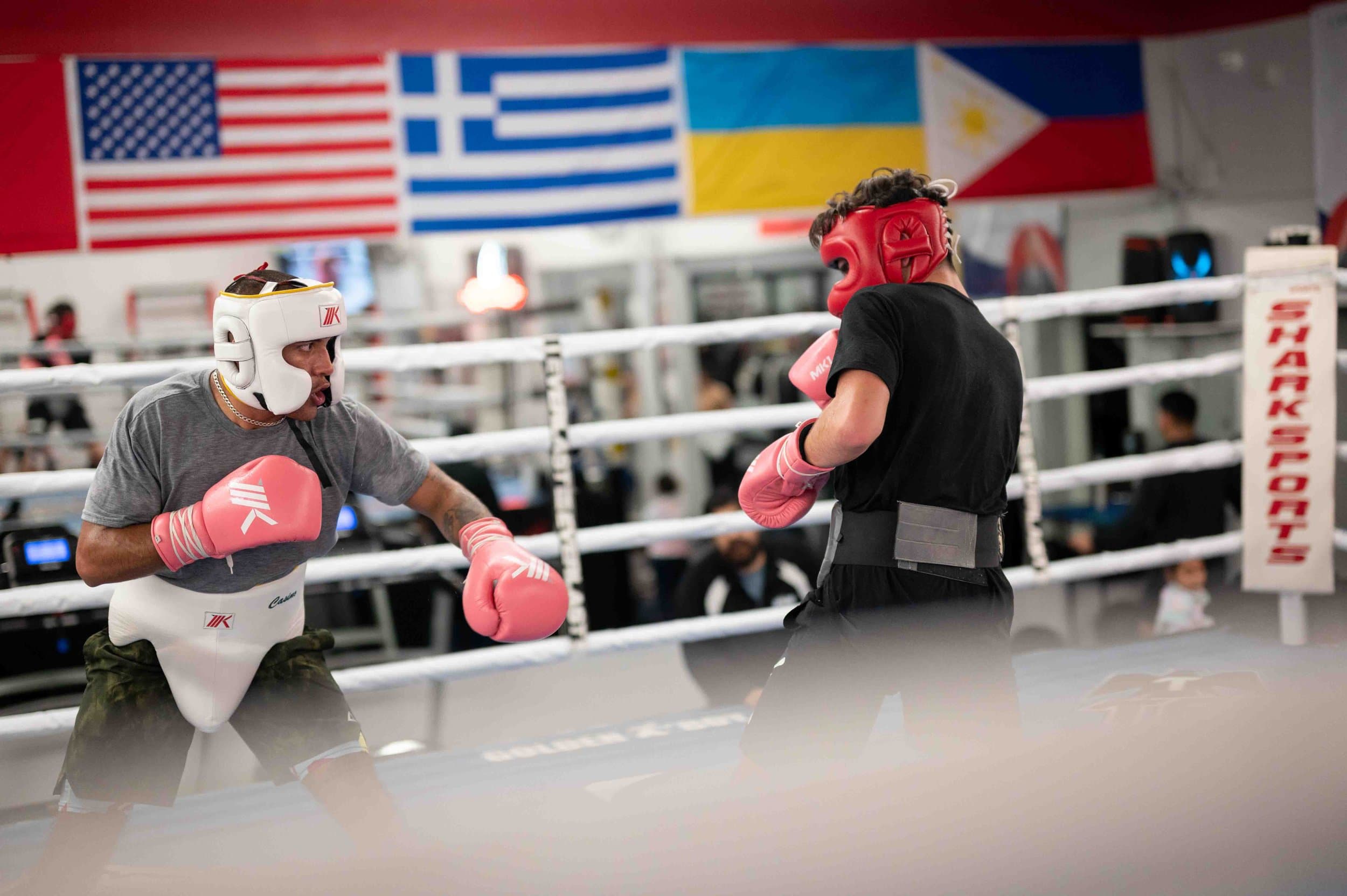 Shark Sports Boxing Gym logo
